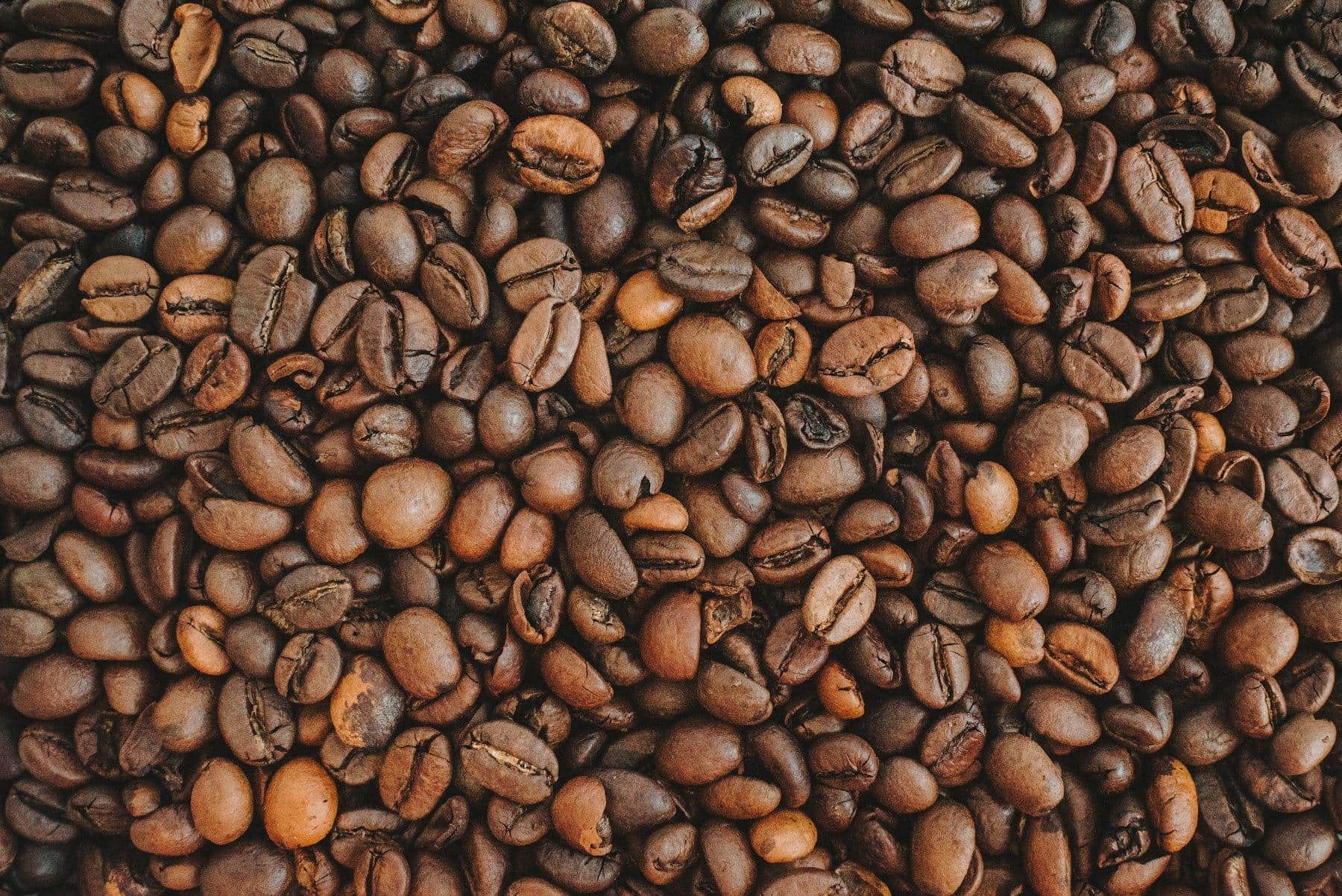 Grains de café triés de près